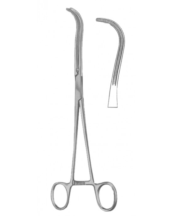 OS- 19-5543-19