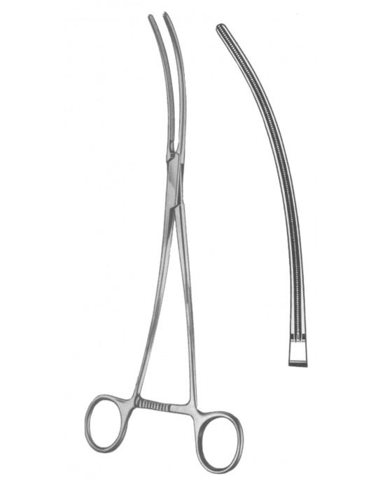 OS- 19-5547-31