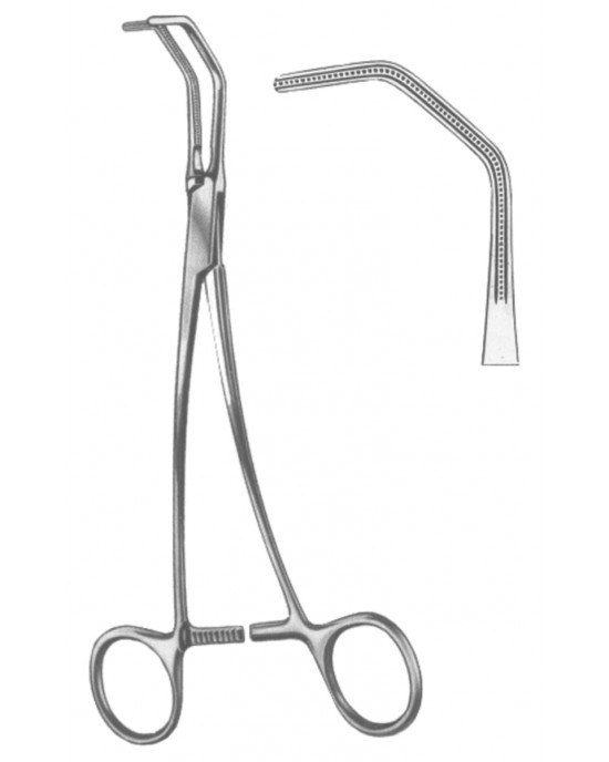 OS- 19-5568-20