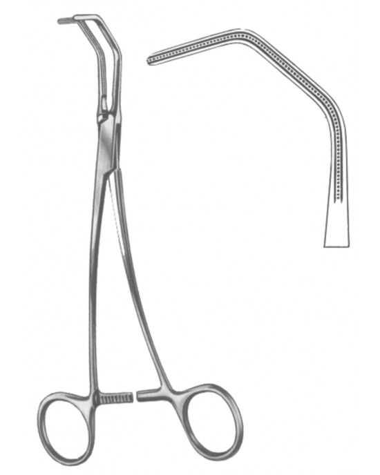 OS- 19-5568-25