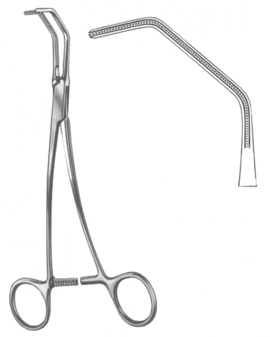 OS- 19-5568-26