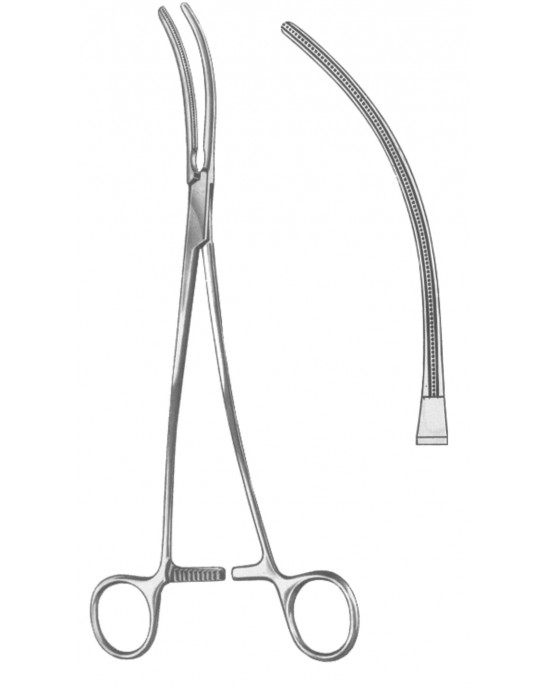OS- 19-5579-25