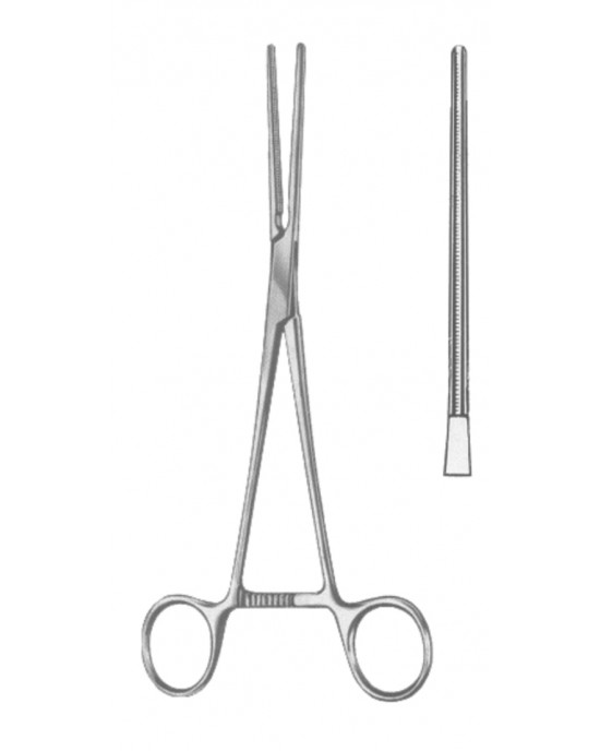 OS- 19-5584-17