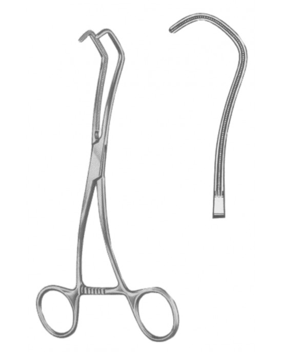 OS- 19-5589-17