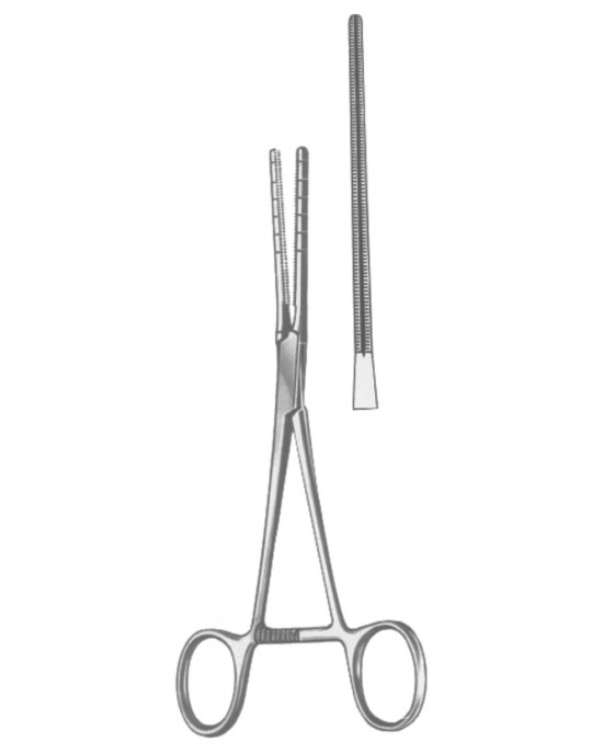 OS- 19-5591-17