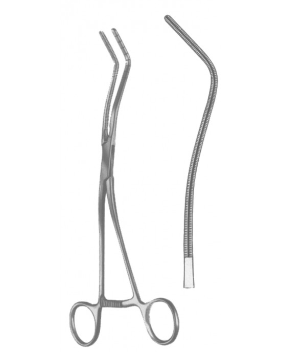 OS- 19-5595-20