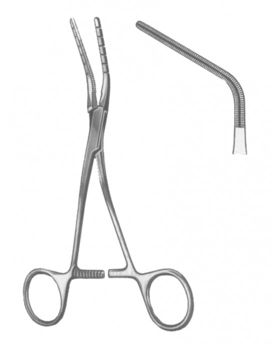 OS- 19-5596-02