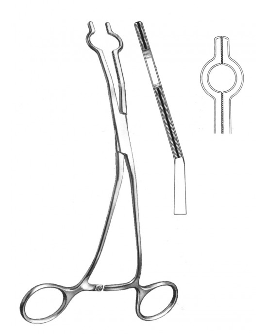 OS- 19-5765-03