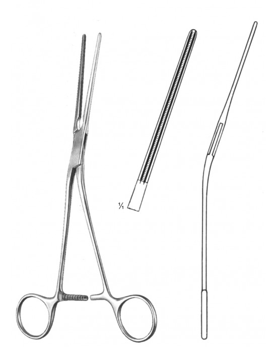 OS- 19-5768-22