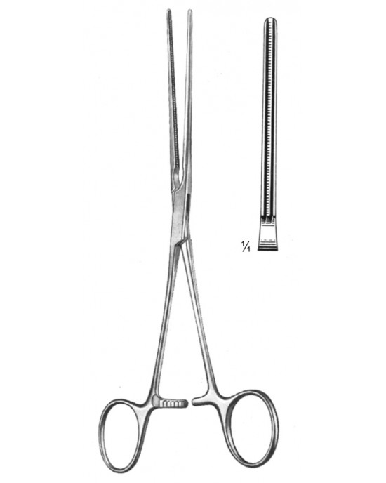 OS- 19-5778-15