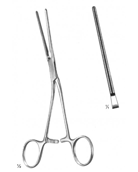 OS- 19-5831-17
