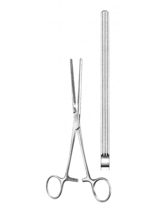 OS- 19-5855-23