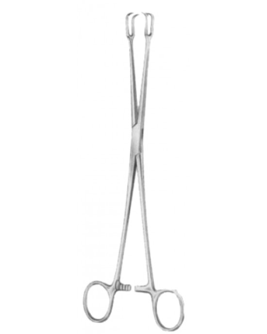 OS- 29-8168-24