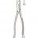 Extracting Forceps, American Pattern
