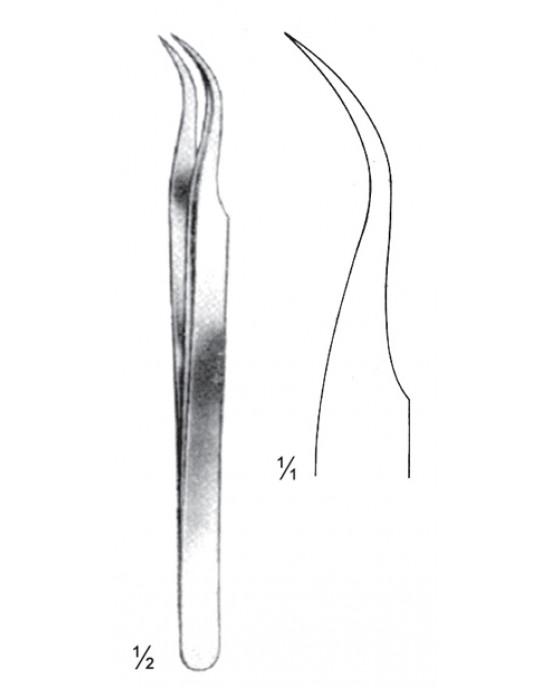 OS- 08-2146-11